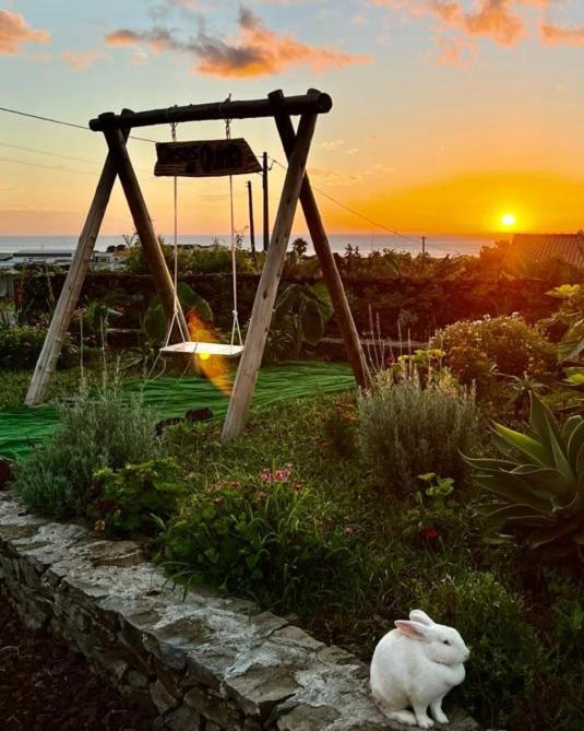 Casas Da Quinta Διαμέρισμα Santa Cruz das Flores Εξωτερικό φωτογραφία